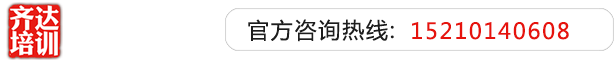 欧美日韩操B片齐达艺考文化课-艺术生文化课,艺术类文化课,艺考生文化课logo